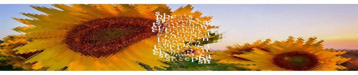 sheep beats