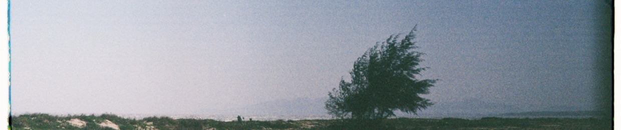 Trinhphephe