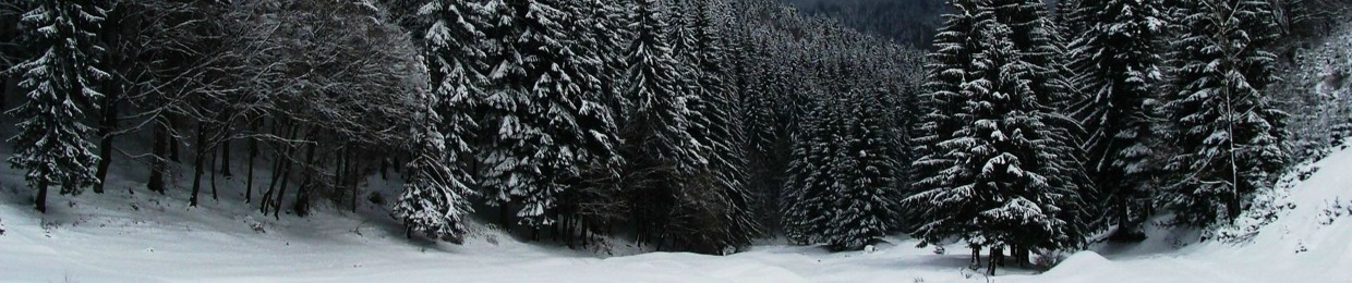 Rohlin CahPatch