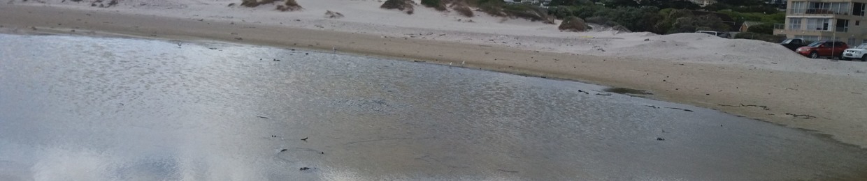 Lieutanant Swift Tigeli