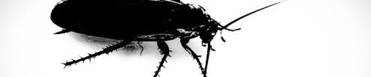 OggY CockRoach