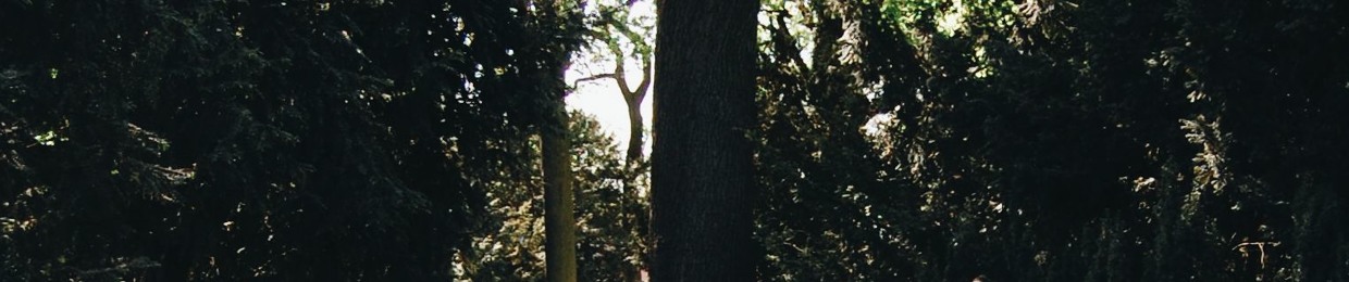 Michał Szarowicz