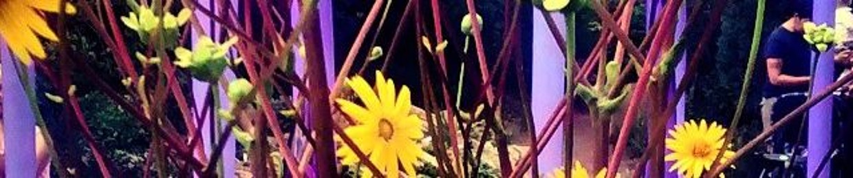 honeybee_highness