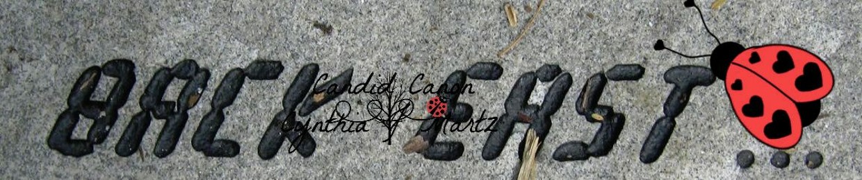 m ART z