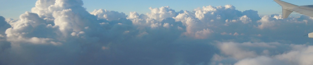 mycloud81