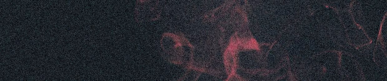 ξD λRRλY$