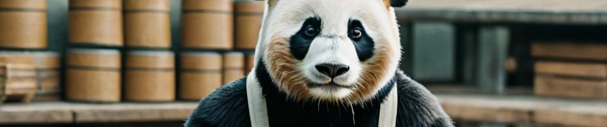 Bad Panda Project