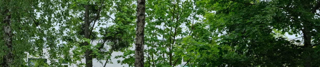 Patapenka