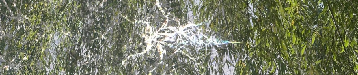 MIRROR WOUND