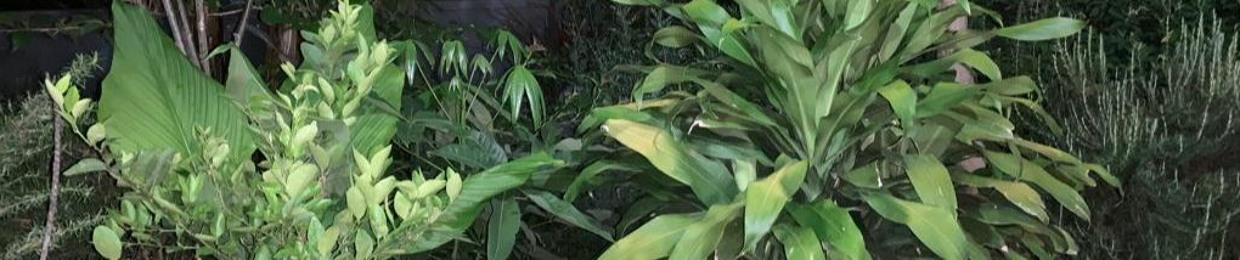 i n t o   t h e   v o i d