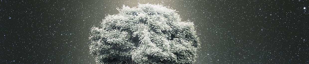 Trees 0n Mercury