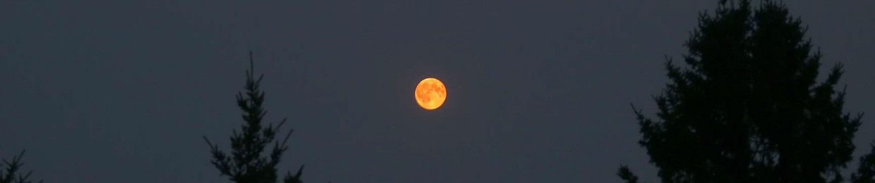 Celli Rux (@celli.rux)