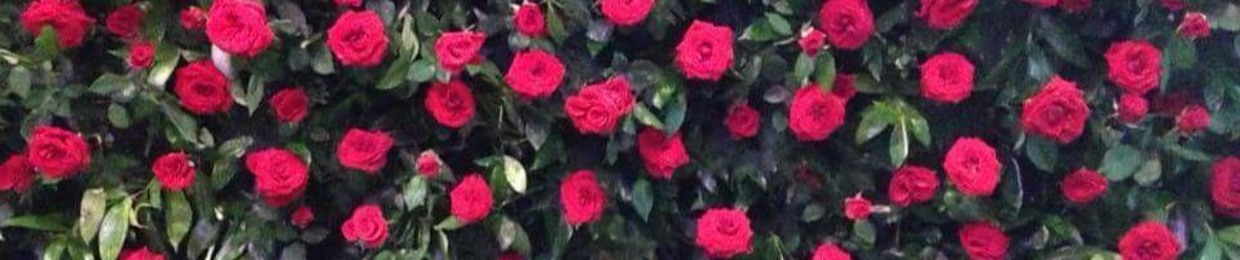 Cường Bie