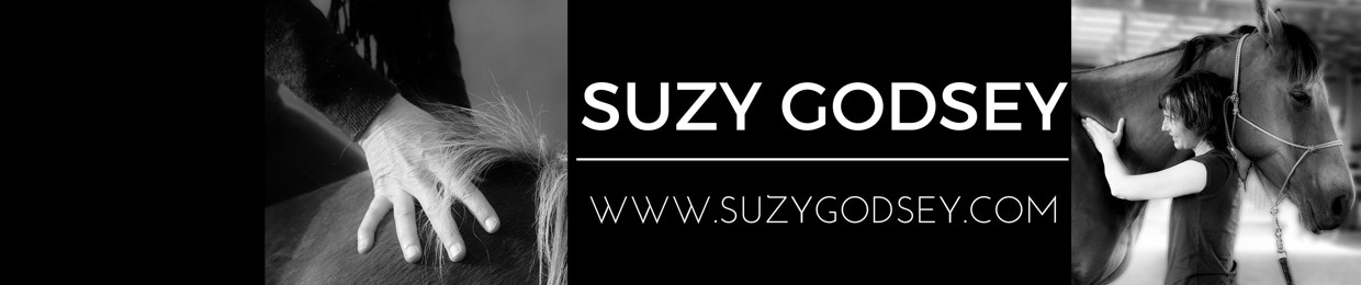 Suzy Godsey