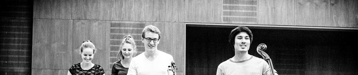 vierimpuls string quartet