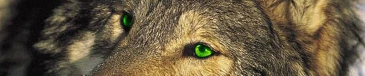 Wolfie_Sadness
