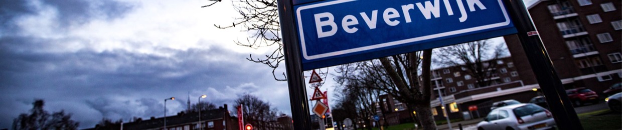 Digy Talis Стихи