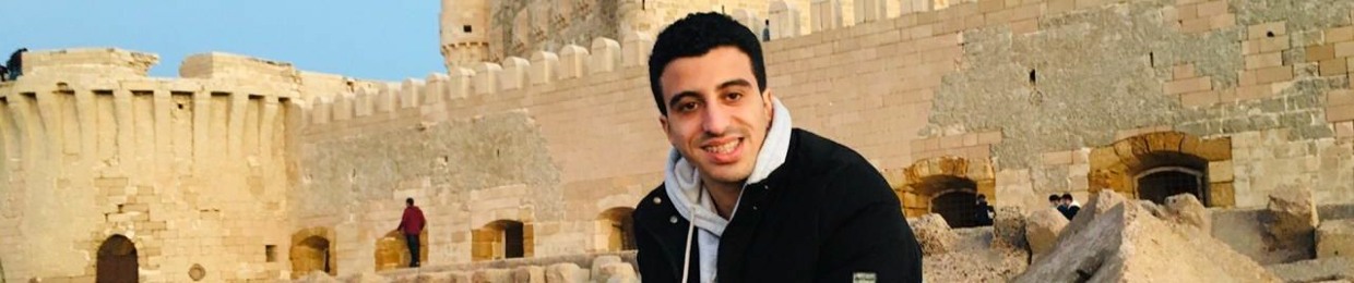 Ahmed Mostafa  Elwaraky