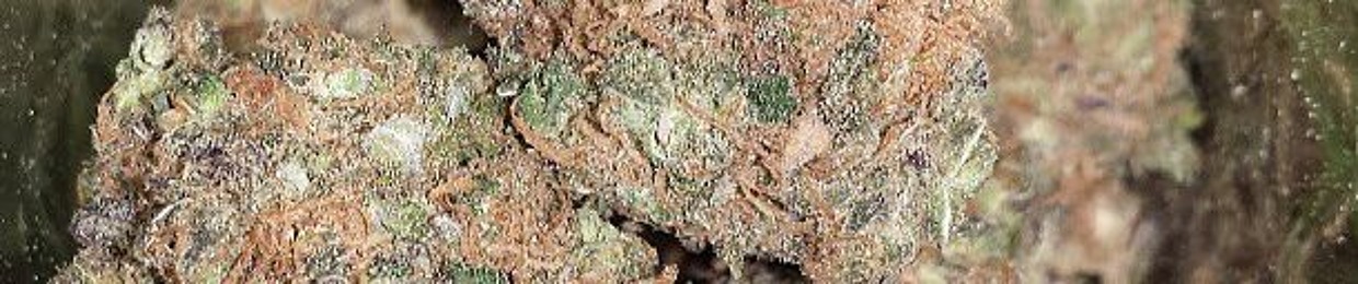 OG JTD Kush