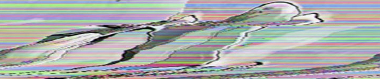 A V O F R A N K
