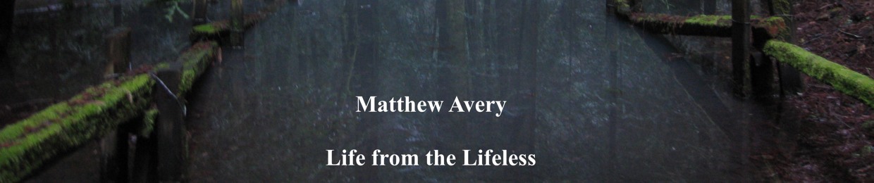 Matthew Avery