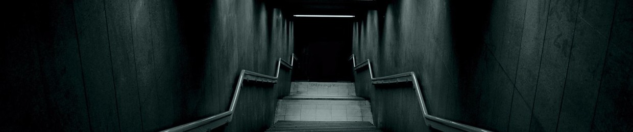 Kevin van Hees