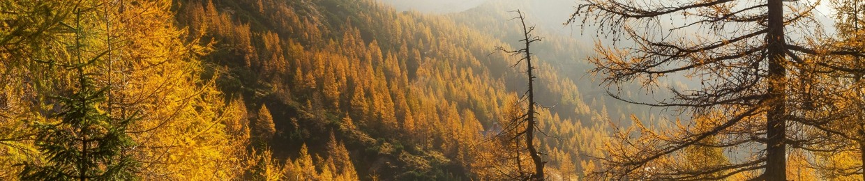 VK