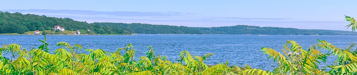 BAY LEDGES