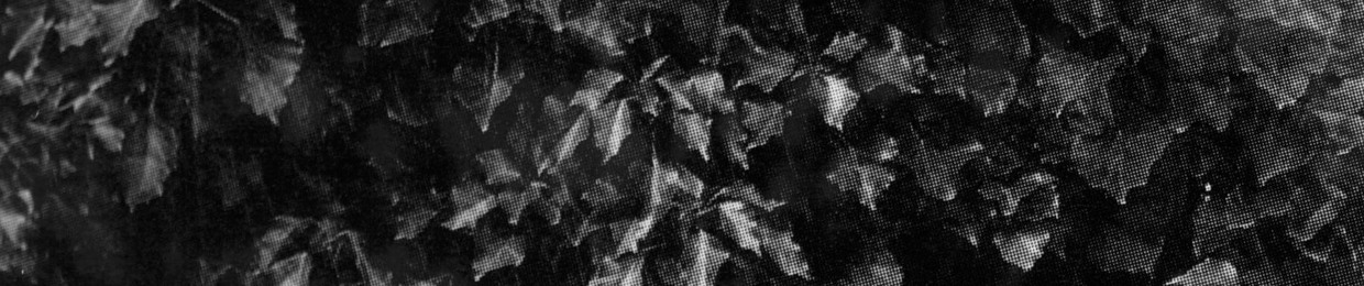 Feutlab