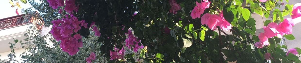 afoxandflora