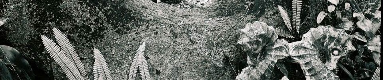 Tapes from the Gates