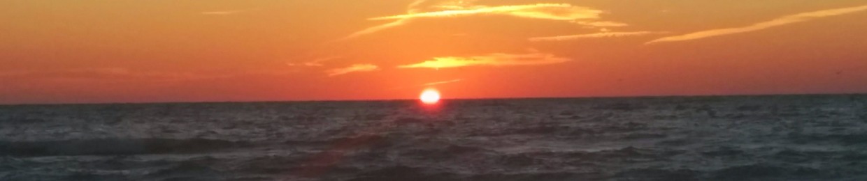 Kohava Howard ~ Emerging Vibrant Woman