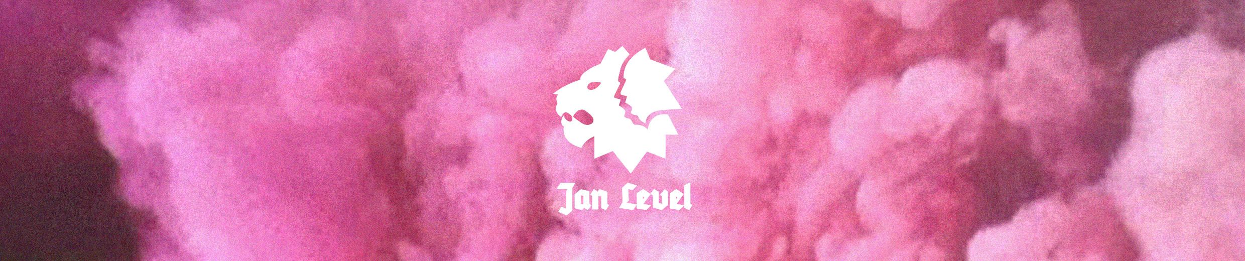 Stream Jan Level music | Listen to songs, albums, playlists for 