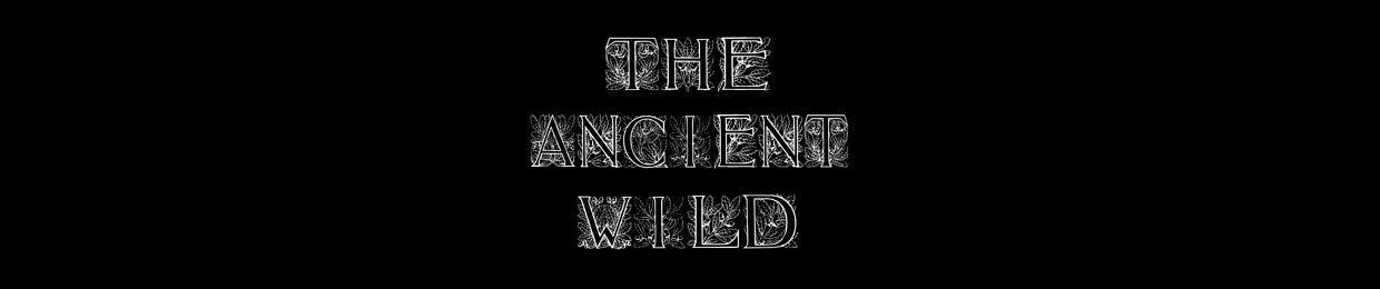 The Ancient Wild