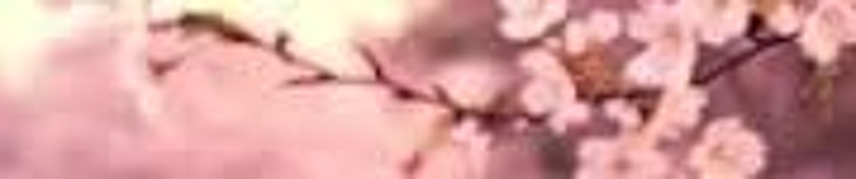 clare_bam1