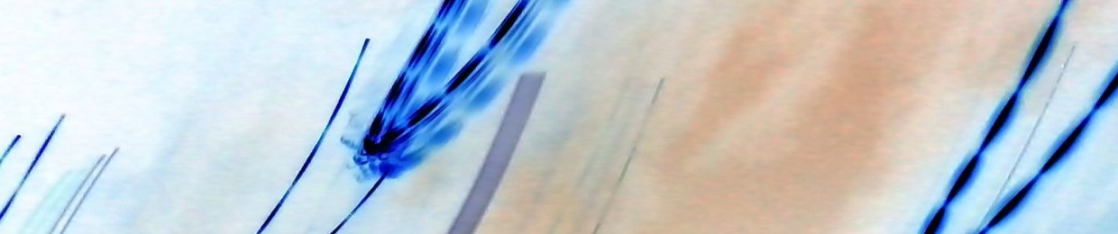 Audio Disturbance Theater