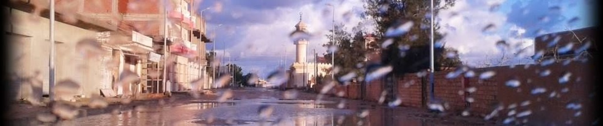 Abdel rahman mohmoud