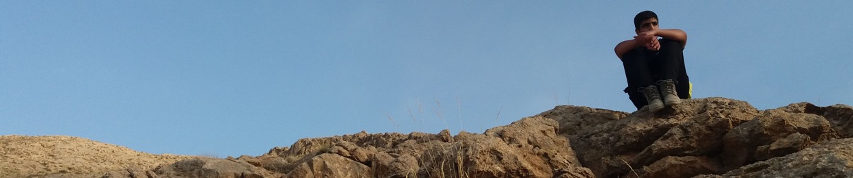 shahram homaee-7