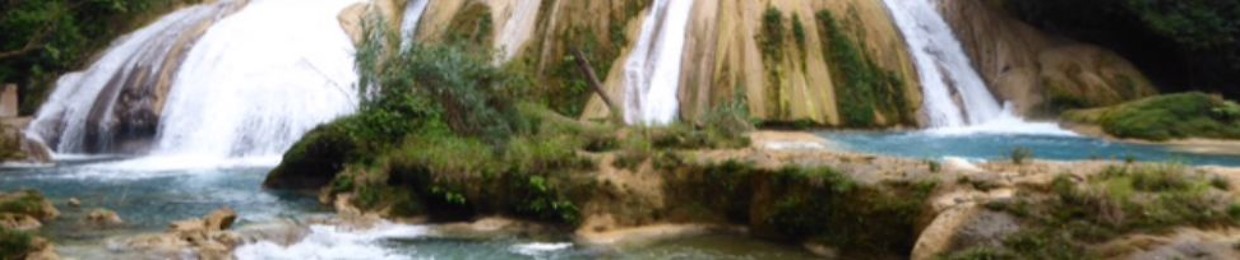 pantarhei.allthingsflow