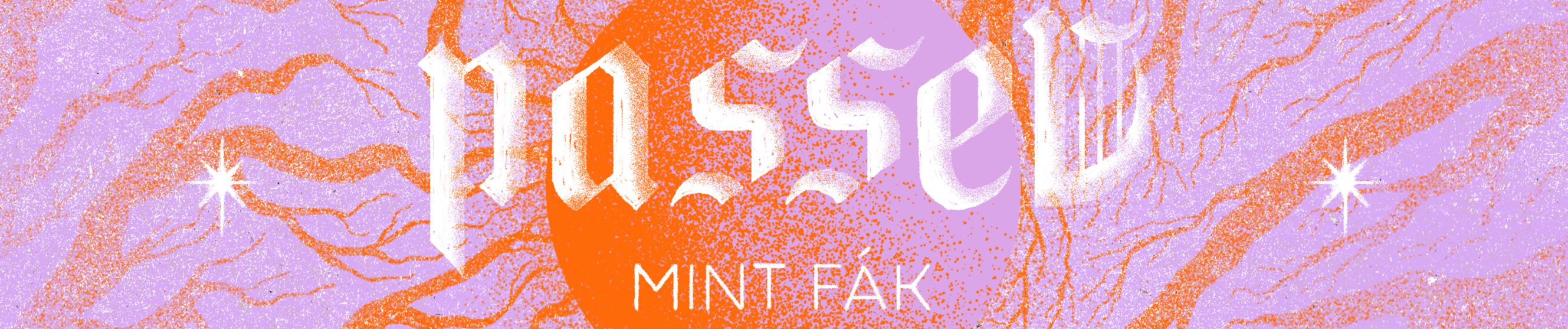 SoundCloud banner for @passed