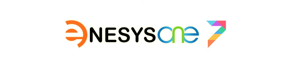 Enesysone Pro™