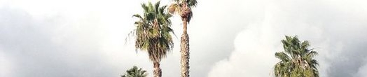 Joe