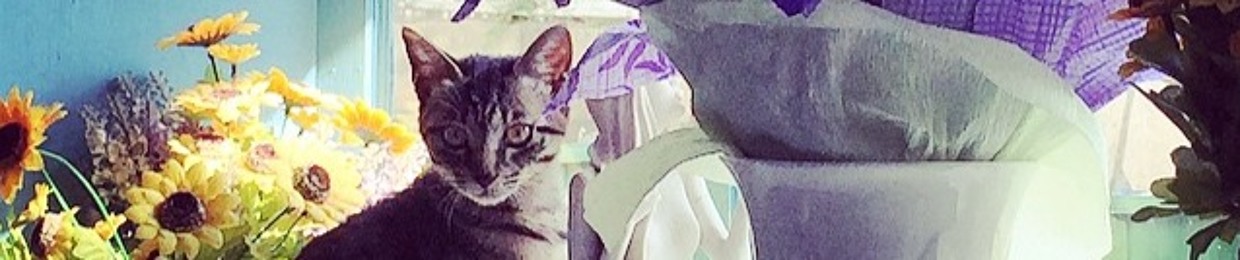 Wuber English 英文不無聊