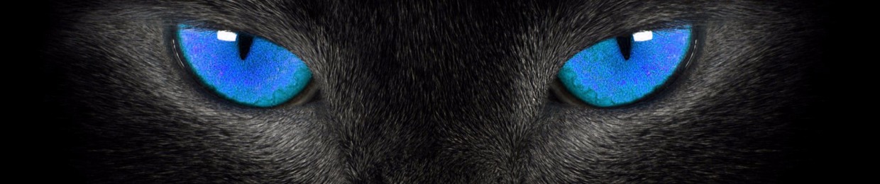 blackcat