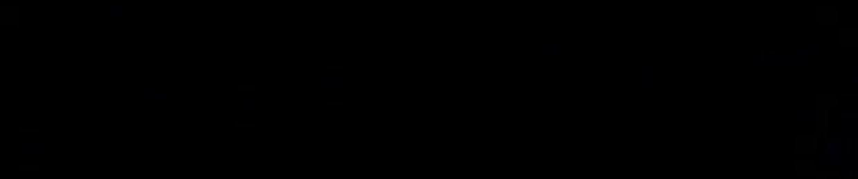 Zendumm