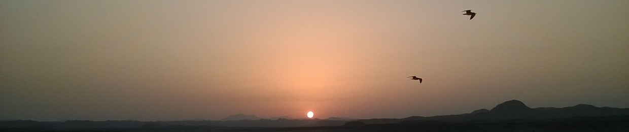 Waled.sree