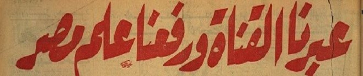 Ahmed shawkey