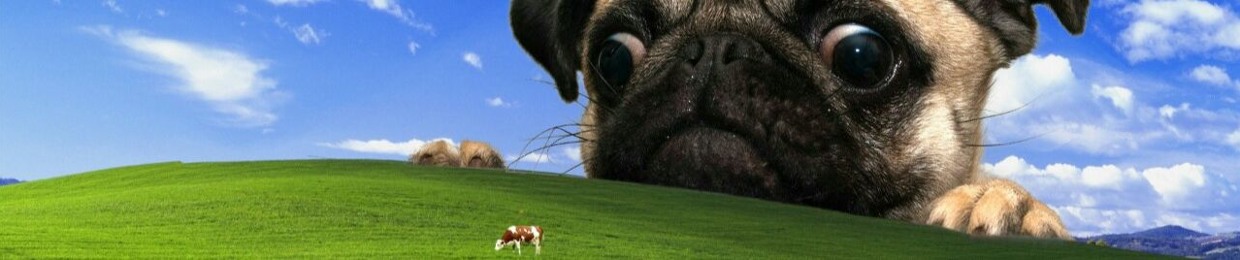 Barely Alive Podcast