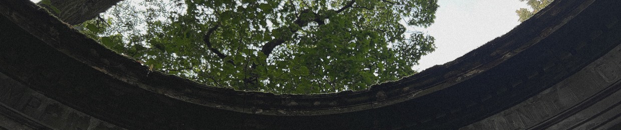 Beneath My Shade