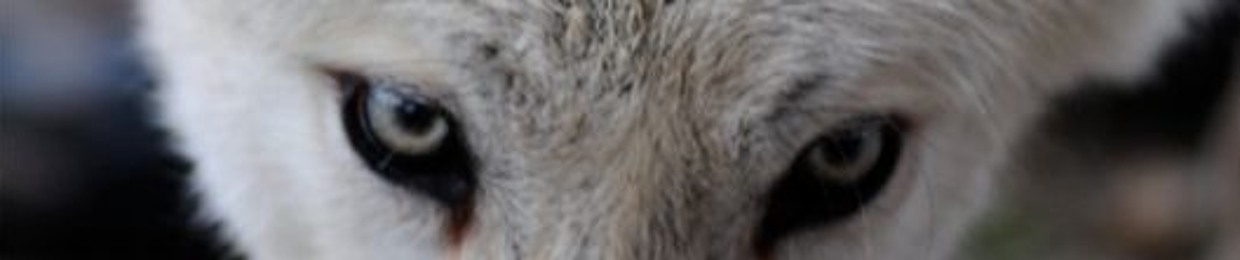 HakunaMatata